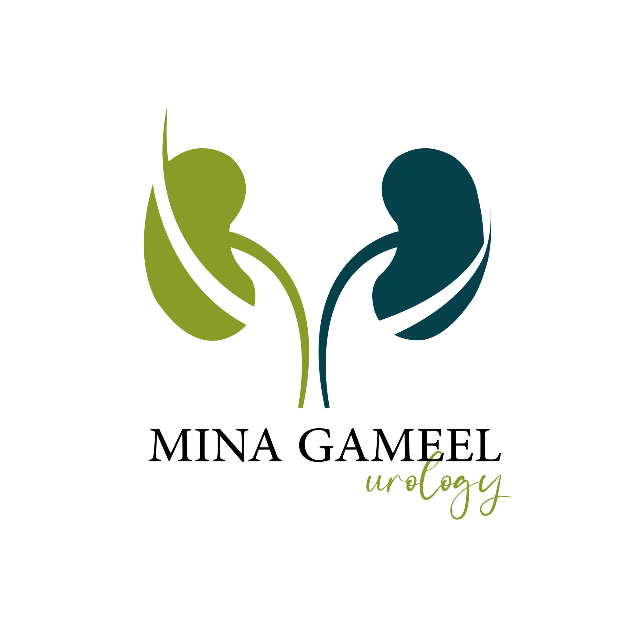 Dr MinA Gameel
